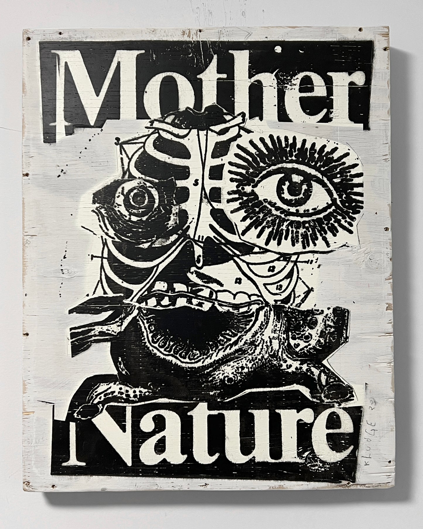 mother nature - 16x20 inches