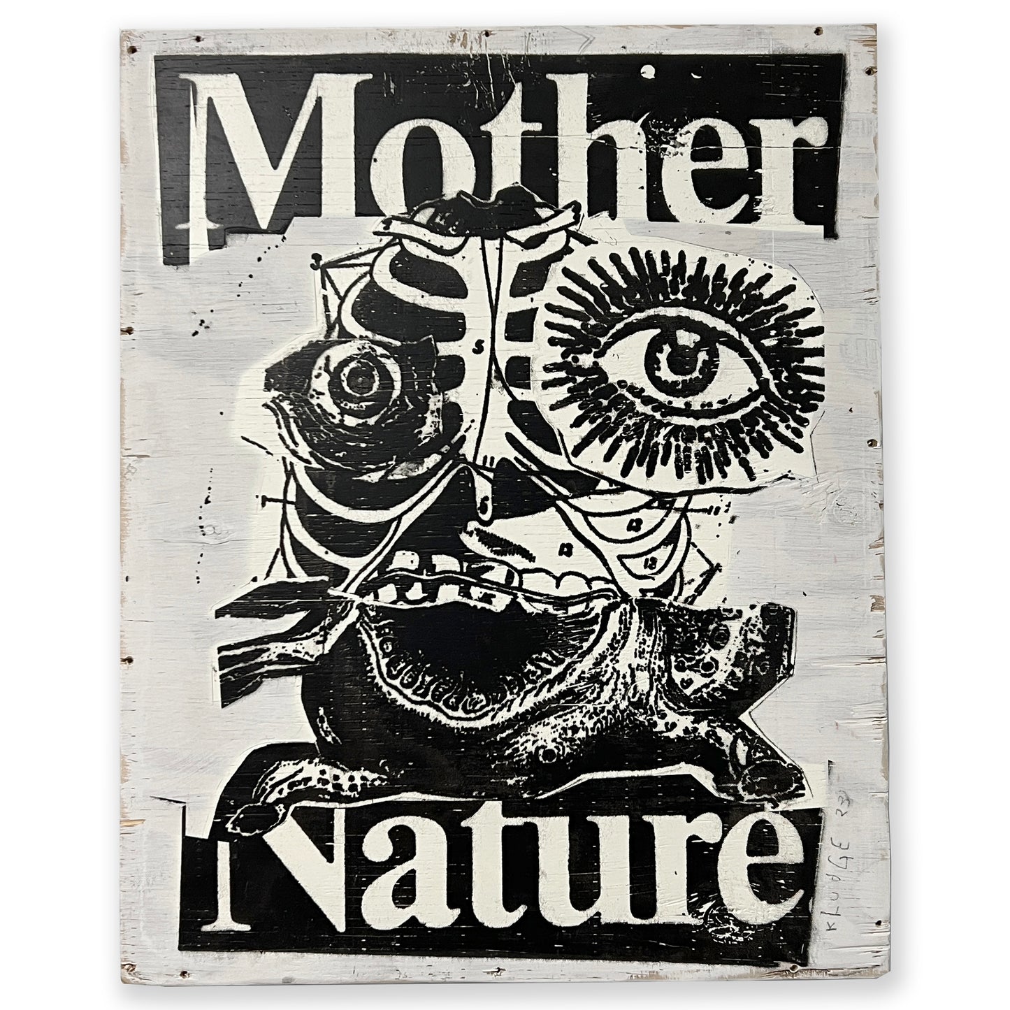 mother nature - 16x20 inches