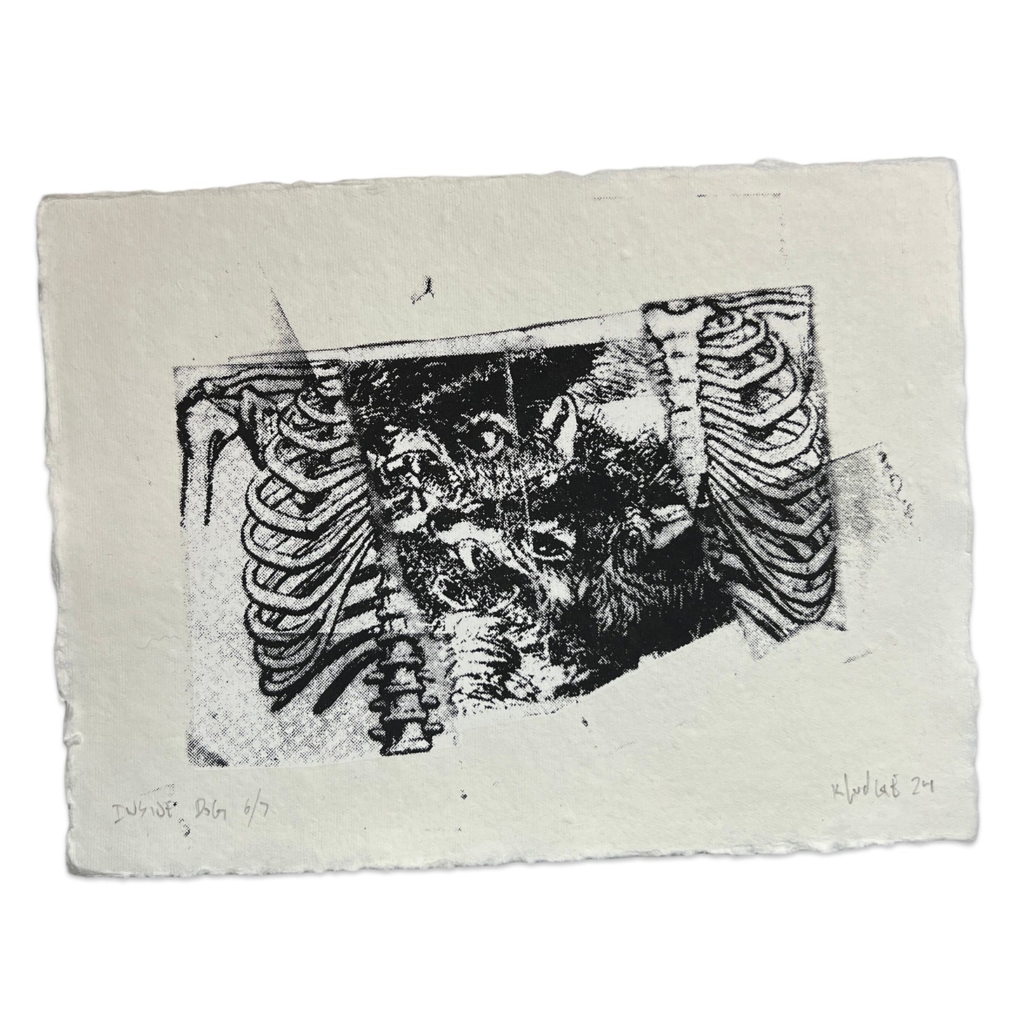 inside dog - 8.5x11 inches