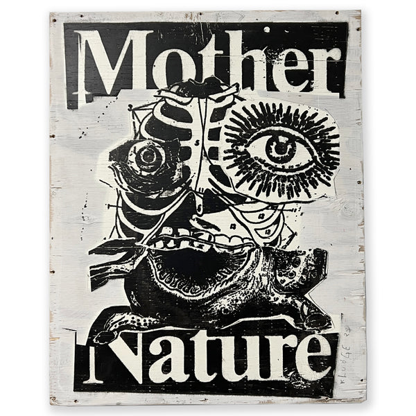 mother nature - 16x20 inches