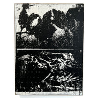 fresh air - 9x12 inches